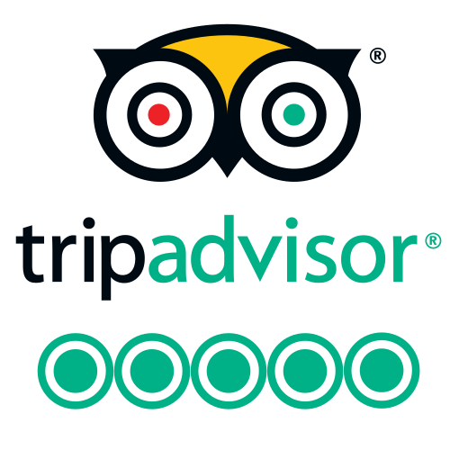 Best Cozumel Dive Shop, best Scuba Diving in Cozumel