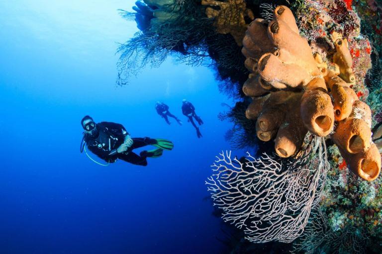 PADI Advanced Open Water course in Cozumel