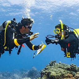 Discover Scuba Diving, Resort Course, Try Dive