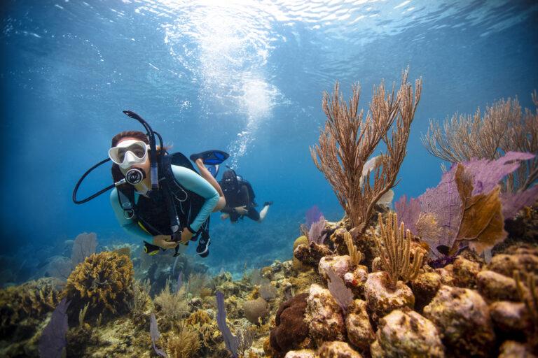 Discover Scuba Diving PLUS