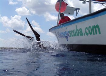 Cozumel Scuba Diving